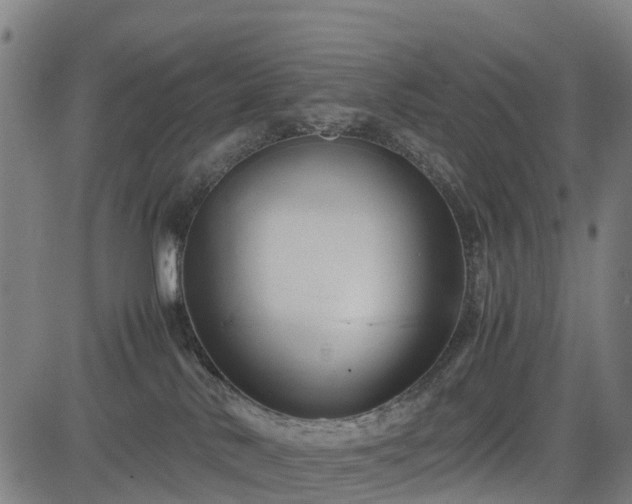 X0000083620042200702201327