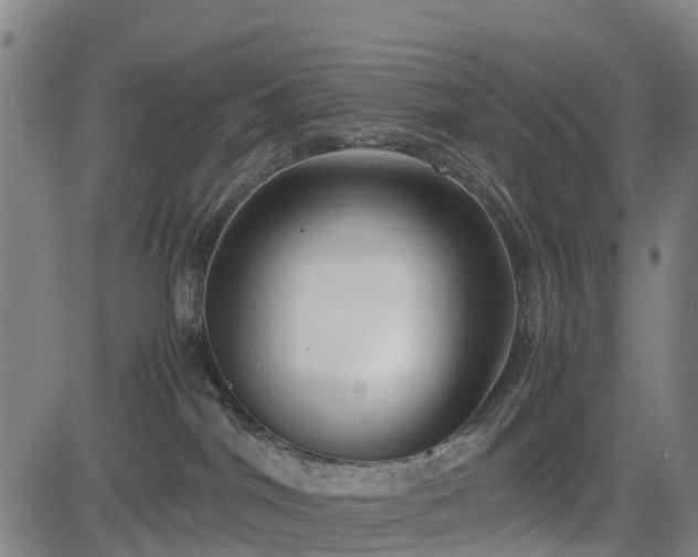 X0000083620044200702201327