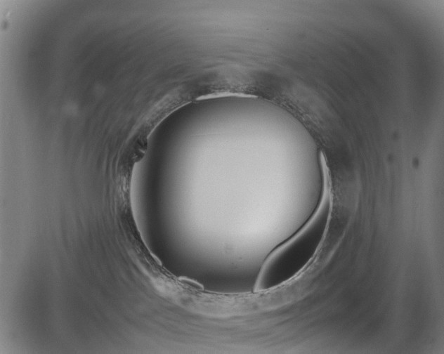 X0000083620045200702201327