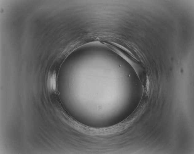 X0000083620046200702201327