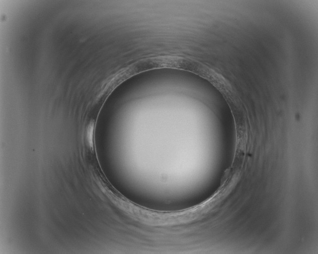 X0000083620047200702201327