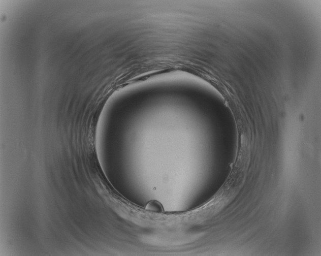 X0000083620048200702201327