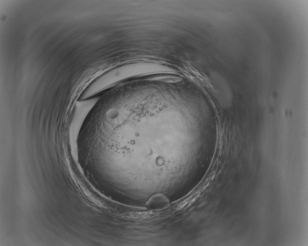 X0000083620049200702201326