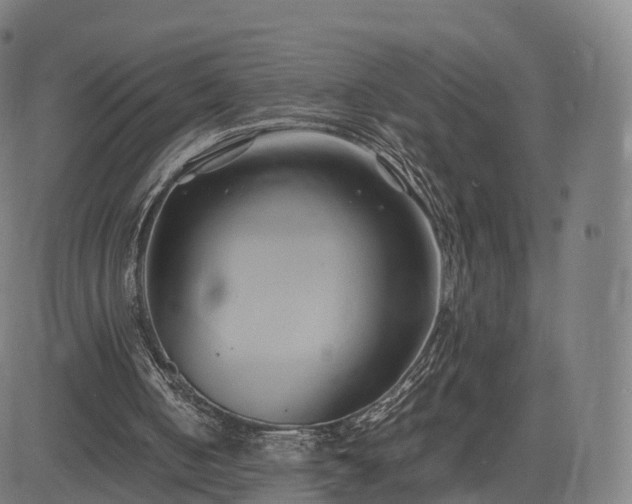 X0000083620050200702201326