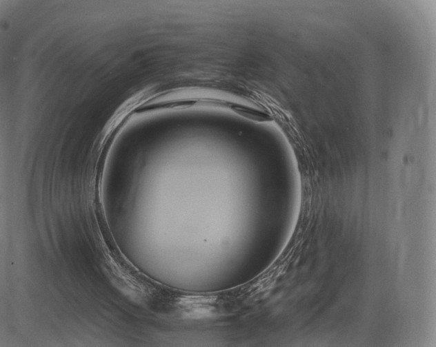 X0000083620051200702201326