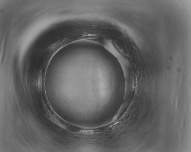 X0000083620052200702201326