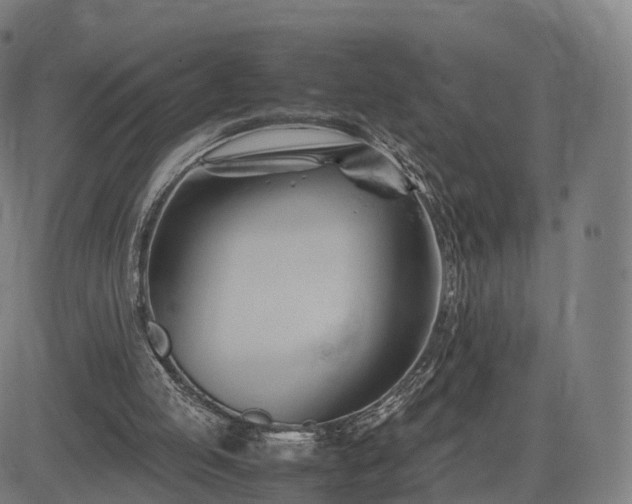 X0000083620053200702201326