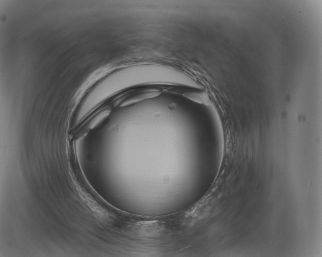 X0000083620054200702201326