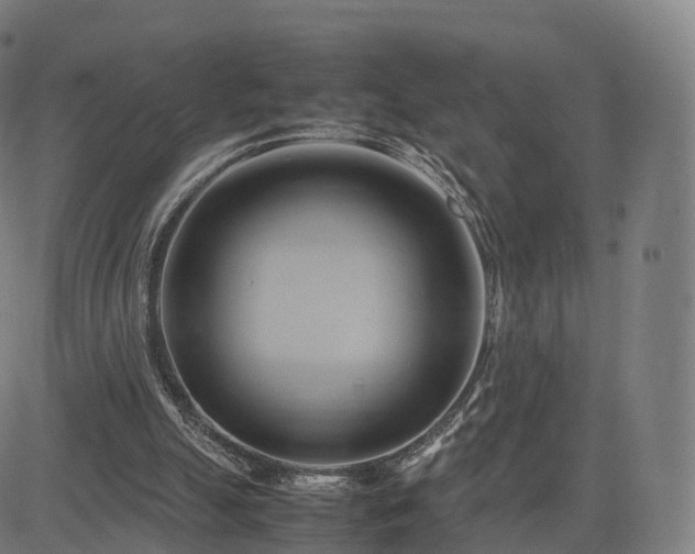 X0000083620055200702201326