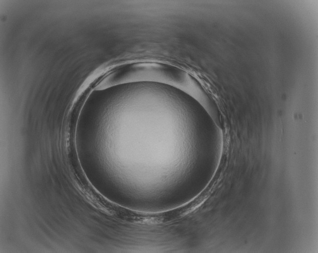 X0000083620056200702201326