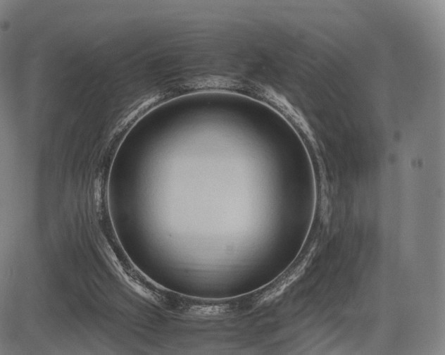 X0000083620057200702201326