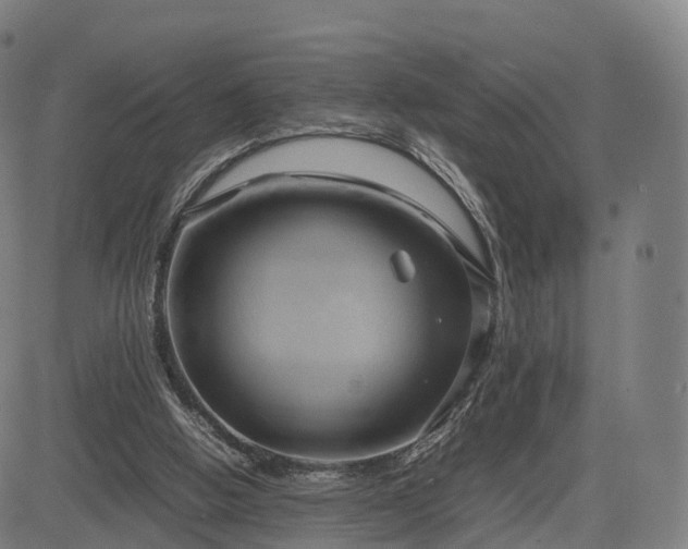 X0000083620058200702201327