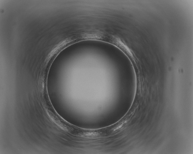 X0000083620059200702201327