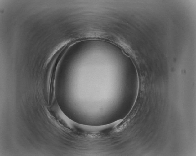 X0000083620060200702201327