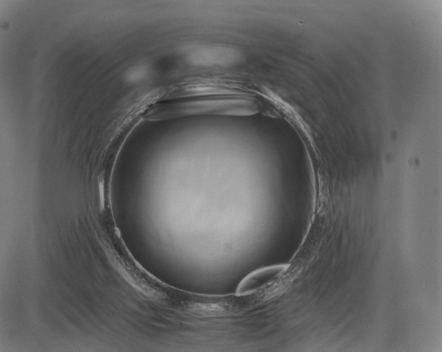 X0000083620061200702201327