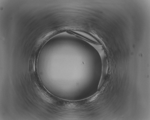 X0000083620062200702201327