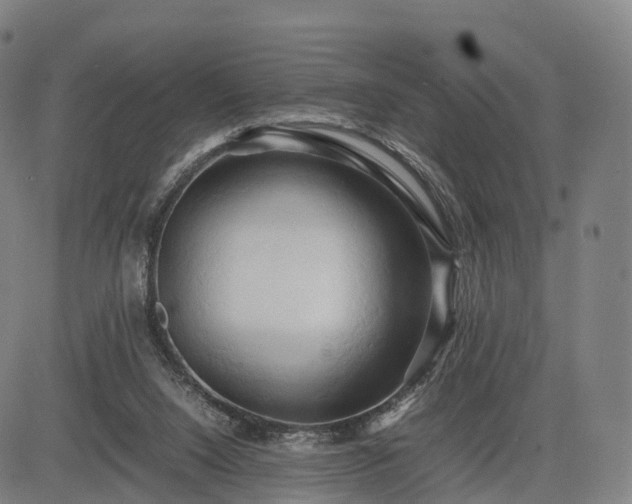 X0000083620064200702201327