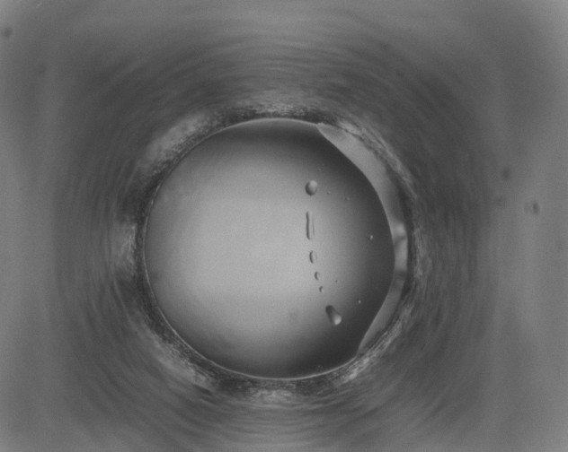 X0000083620066200702201327