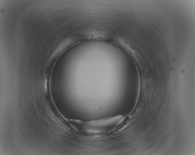 X0000083620067200702201327