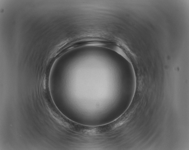 X0000083620068200702201327