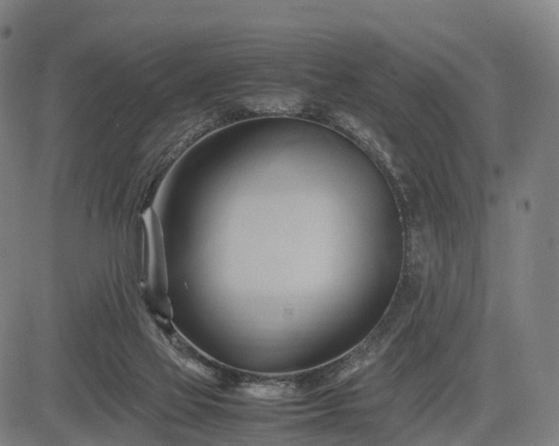 X0000083620069200702201327