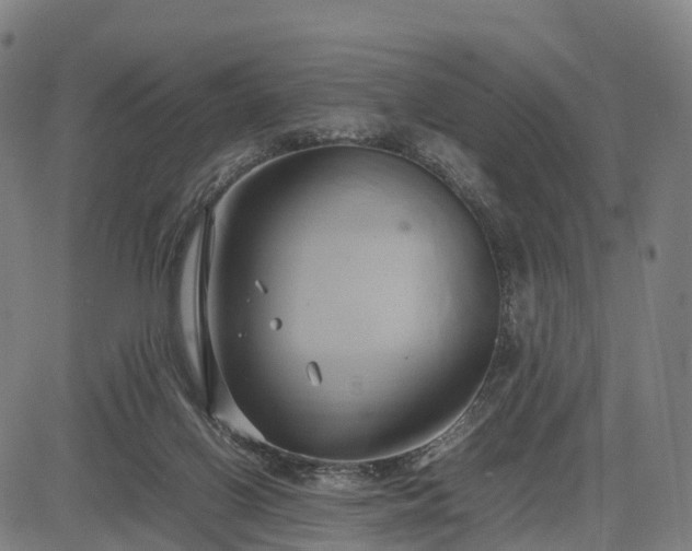 X0000083620070200702201327