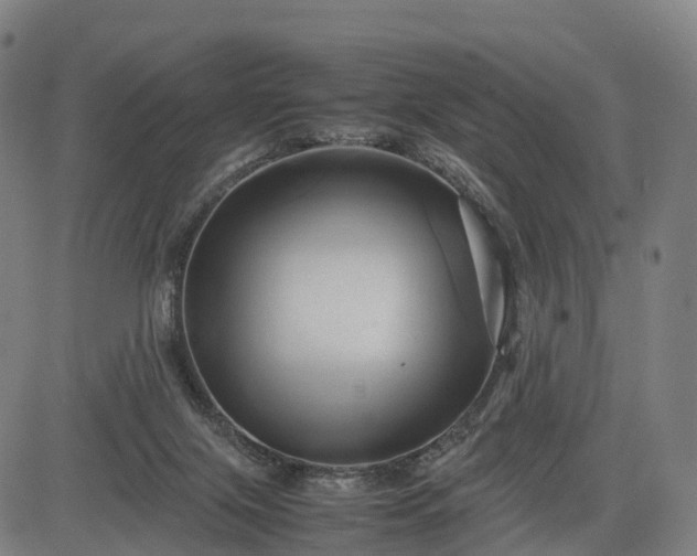 X0000083620071200702201327