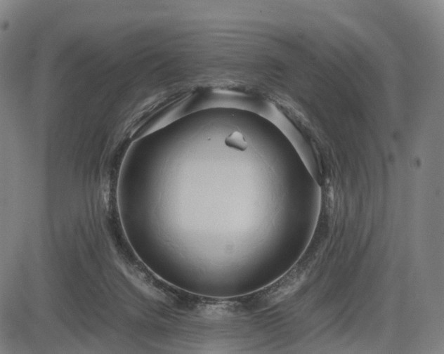 X0000083620072200702201327