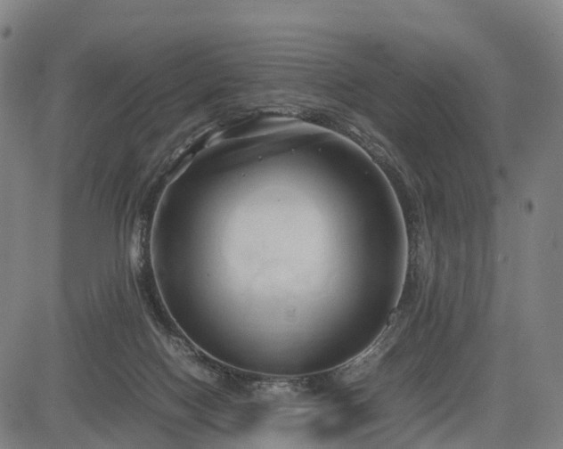 X0000083620074200702201327