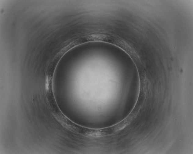 X0000083620075200702201327