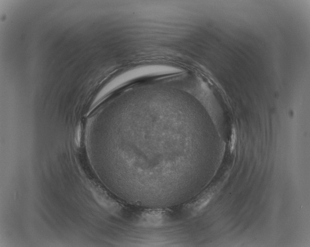 X0000083620076200702201327