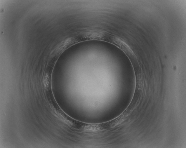 X0000083620077200702201327