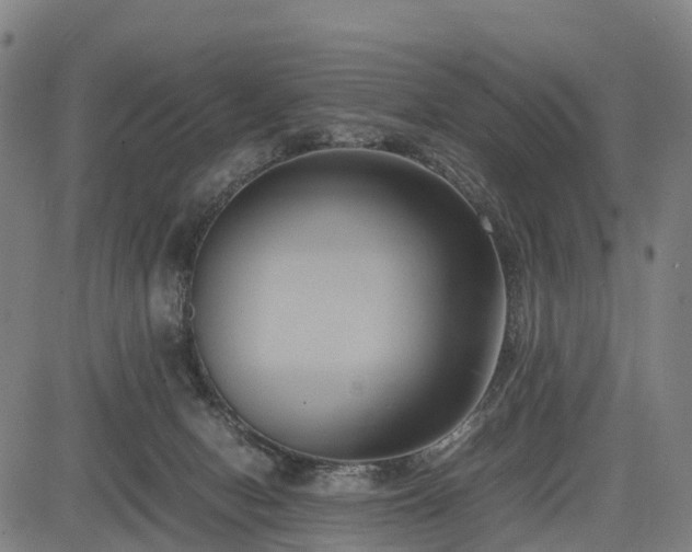 X0000083620078200702201327