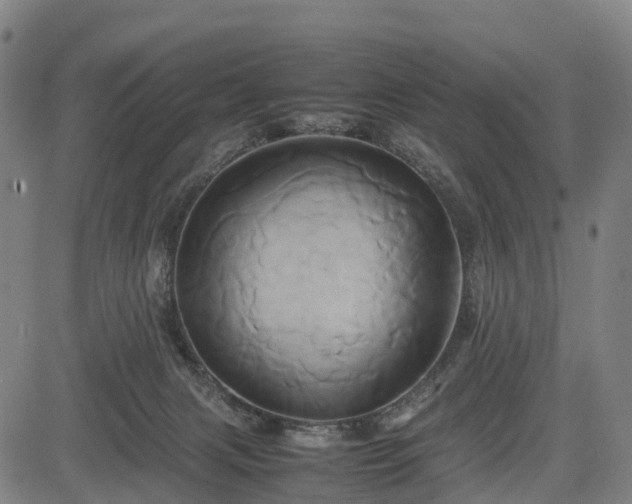 X0000083620079200702201327