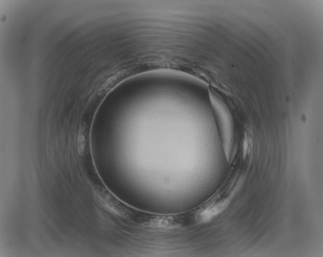 X0000083620080200702201327