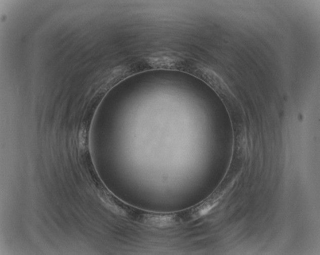 X0000083620081200702201327