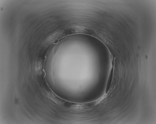 X0000083620082200702201327