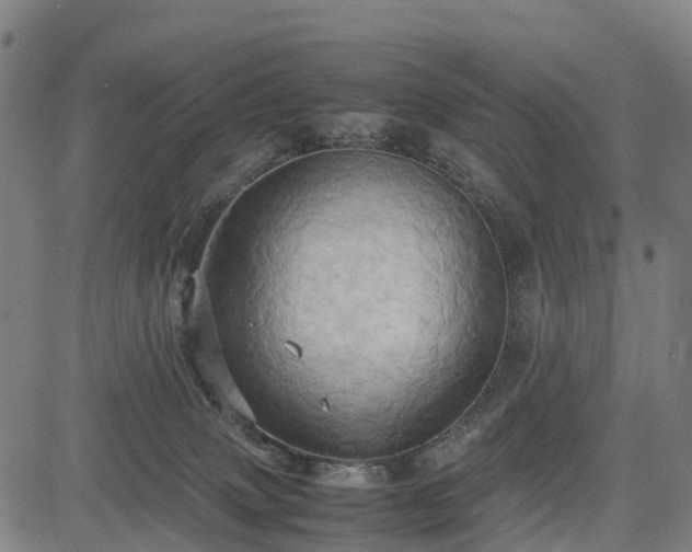 X0000083620083200702201327