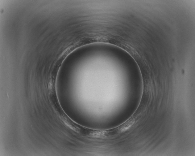 X0000083620084200702201327