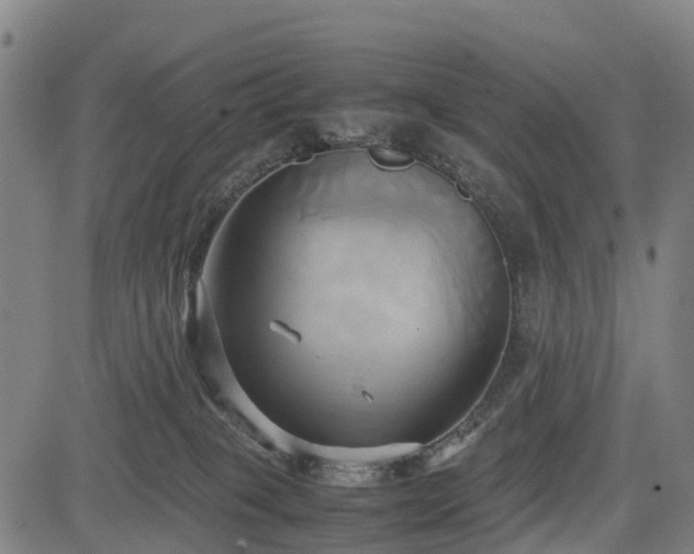 X0000083620085200702201327