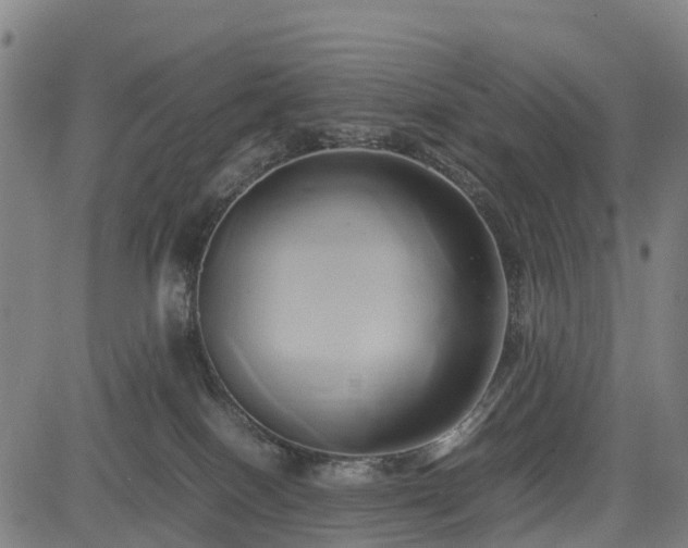 X0000083620086200702201327