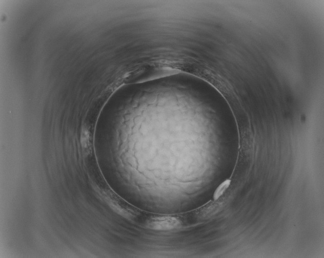 X0000083620087200702201327