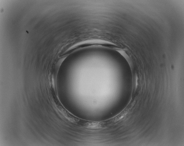 X0000083620088200702201327