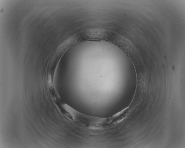 X0000083620089200702201327