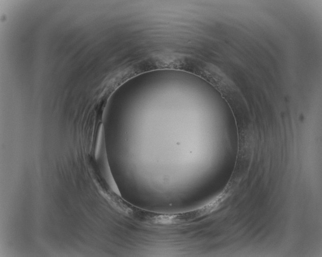 X0000083620090200702201327