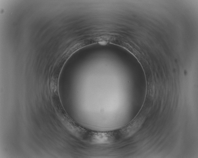 X0000083620091200702201327