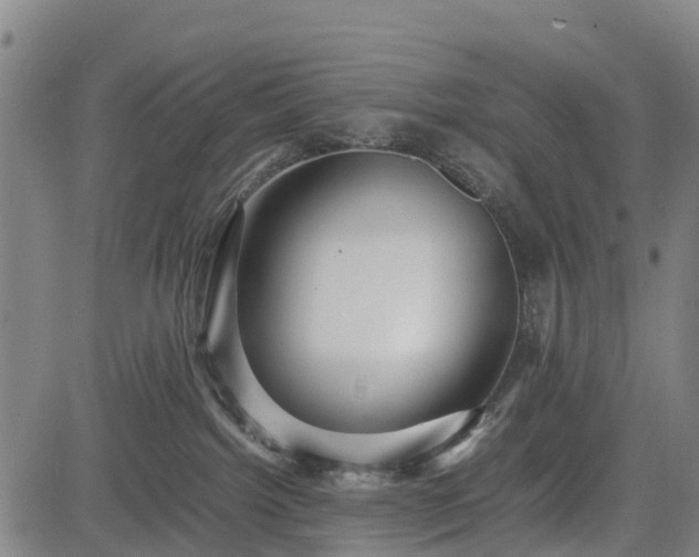 X0000083620092200702201327