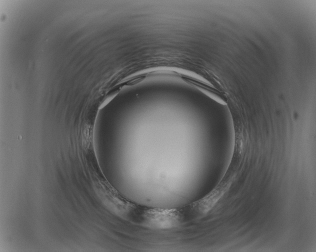 X0000083620093200702201327