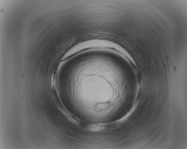 X0000083620094200702201327