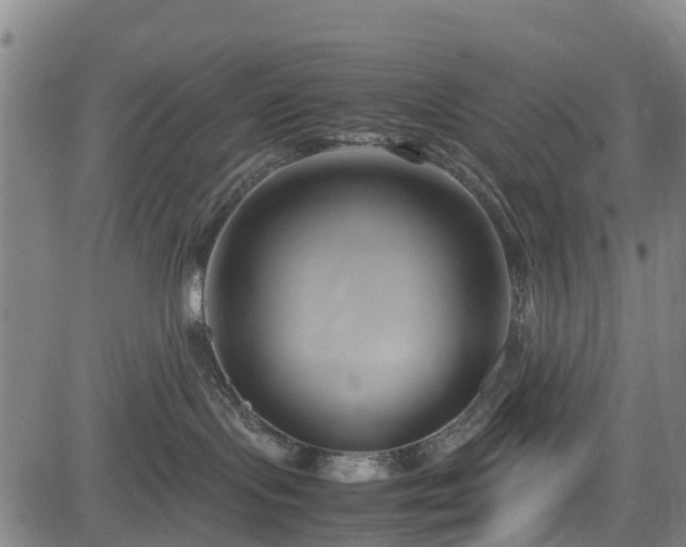 X0000083620095200702201327